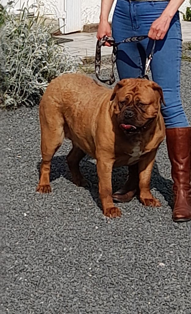 Ryna Des Gardiens Des Vanneaux