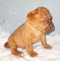 Rylie